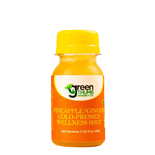 Ginger Wellness Shots (50ml)